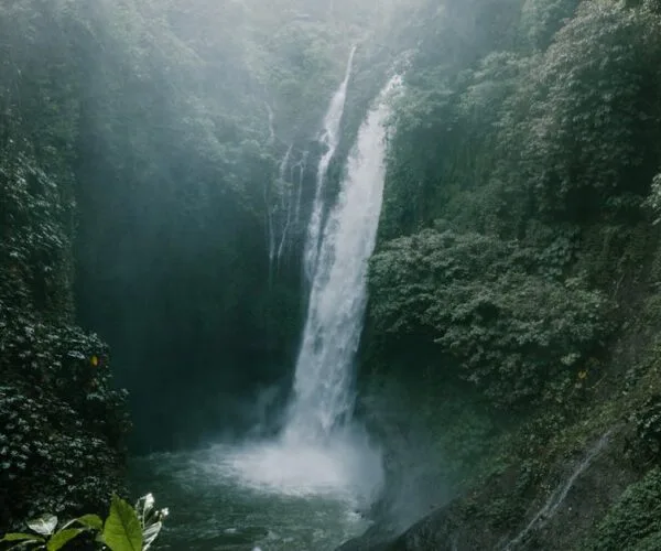 Adresse actuelle de Cpasbien : où la trouver ?