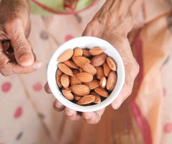 Alimentation équilibrée : clés de la vitalité