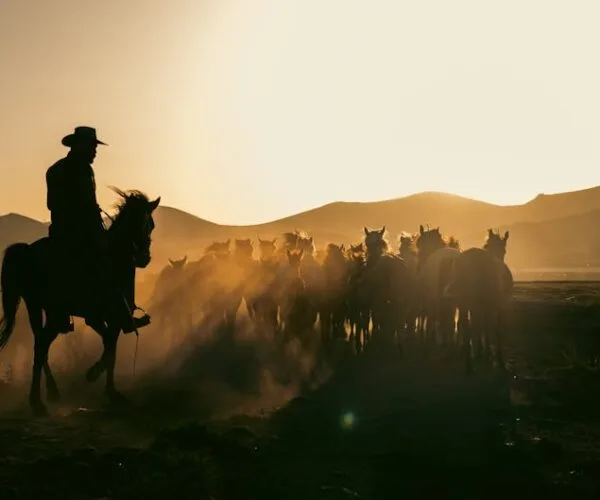 Le Comte de Monte-Cristo : streaming VF en ligne ici