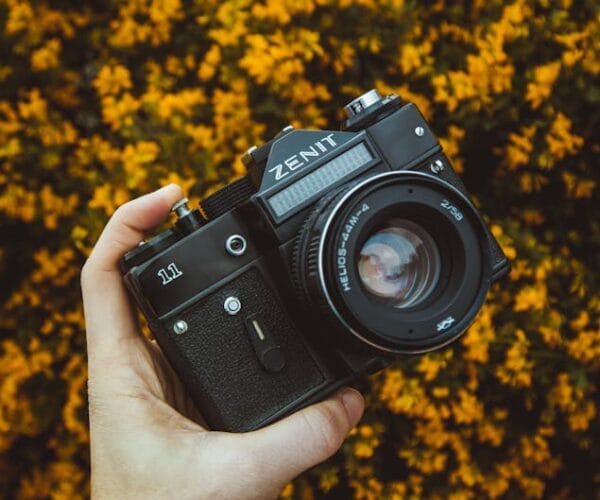 Où regarder Old Boy en streaming légalement ?