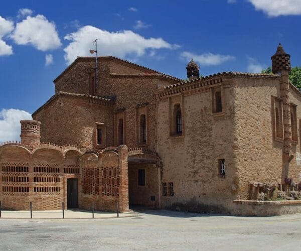 Les Bienfaits des Plantes pour une Belle Peau