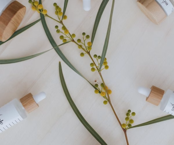 Ingrédients naturels soins peau : 8 actifs prouvés